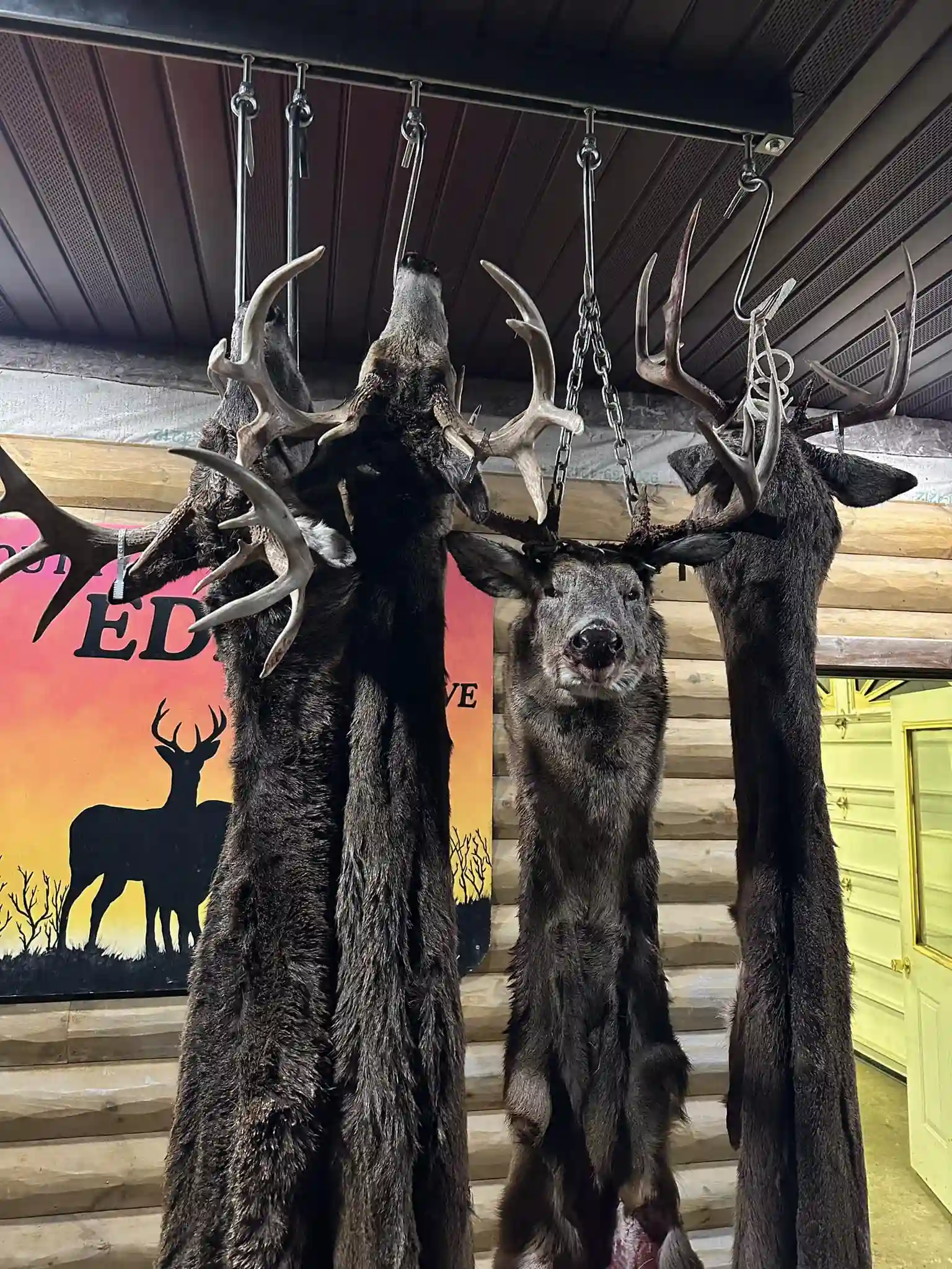 472883435 122133073862432495 4109556982537084307 n