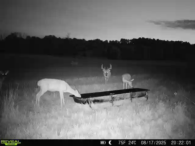 538789900_122163856490432495_5059230139089597156_n