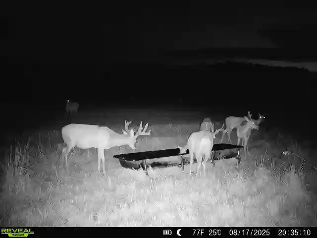 538912010_122163856550432495_7535021774382511370_n