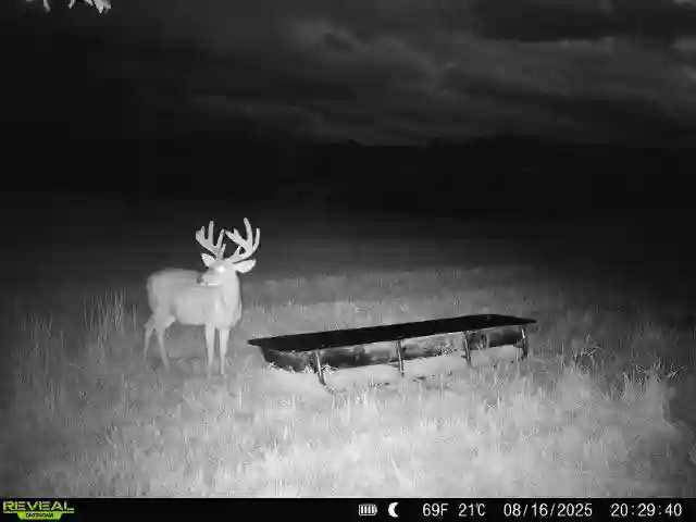 539547075_122163856400432495_1784356897528964293_n